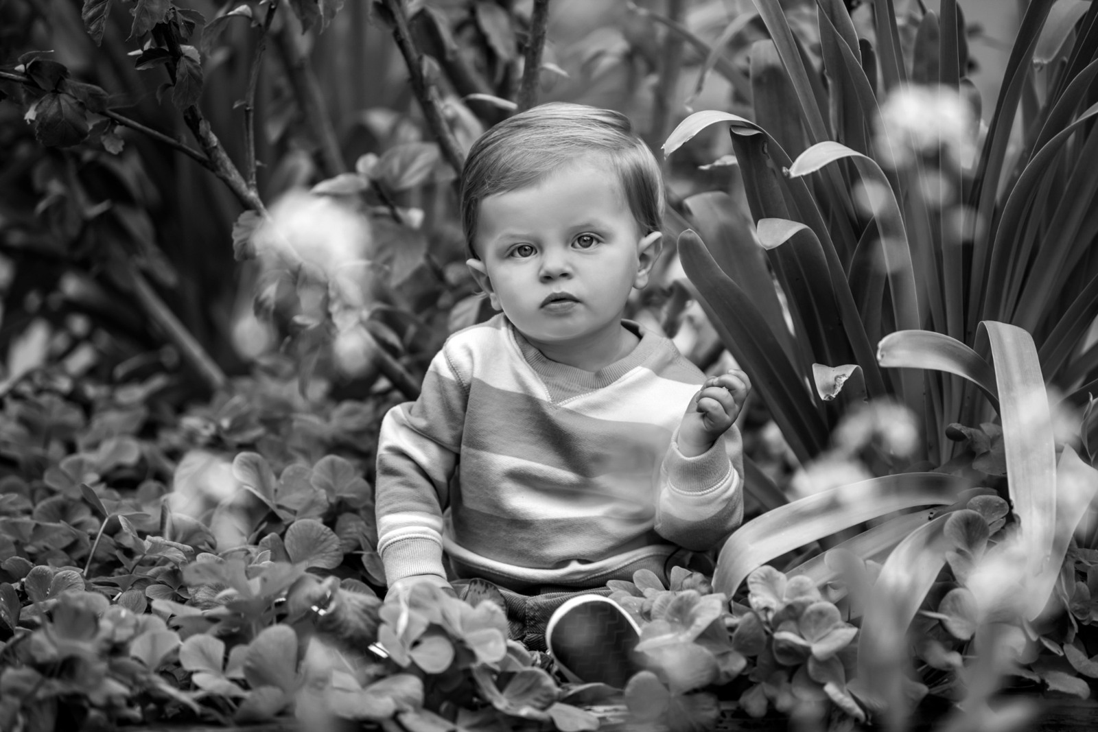 A black and white portrait of a toddler among flowers